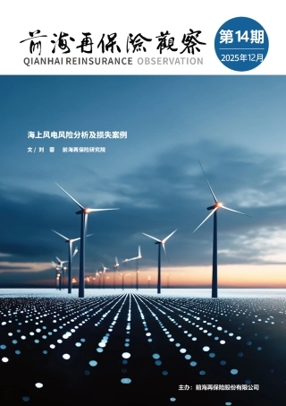 前海再保险：海上风电风险分析及损失案例