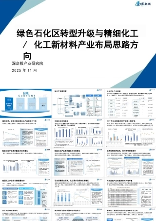 深企投55页PPT：绿色石化区转型升级与精细化工-化工新材料产业布局思路方向