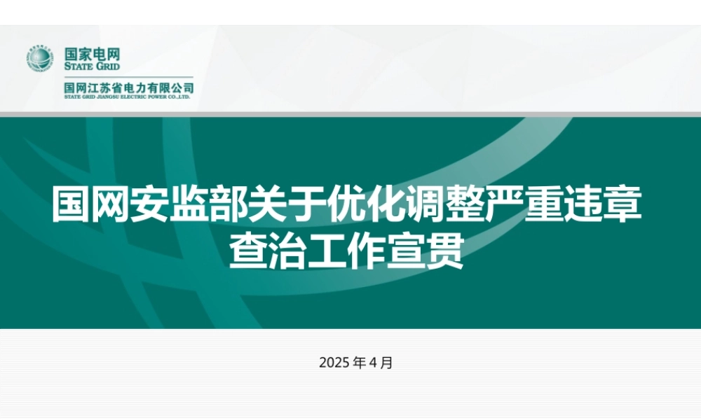 2025国网优化调整严重违章宣贯