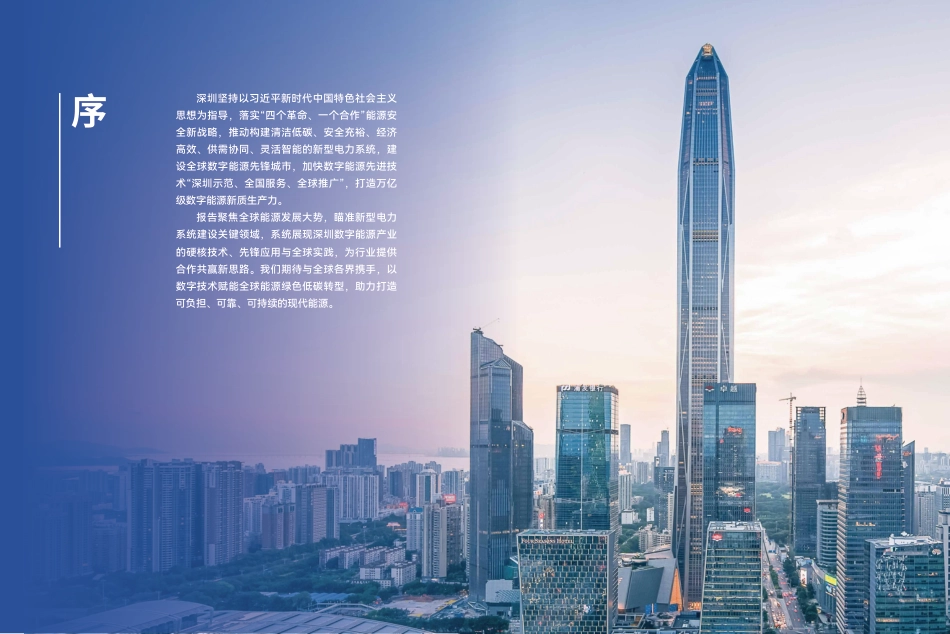 深圳市发改委:2025深圳数字能源白皮书_第3页