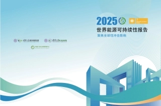 清华大学：2025世界能源可持续性评价报告——聚焦全球性冲击影响