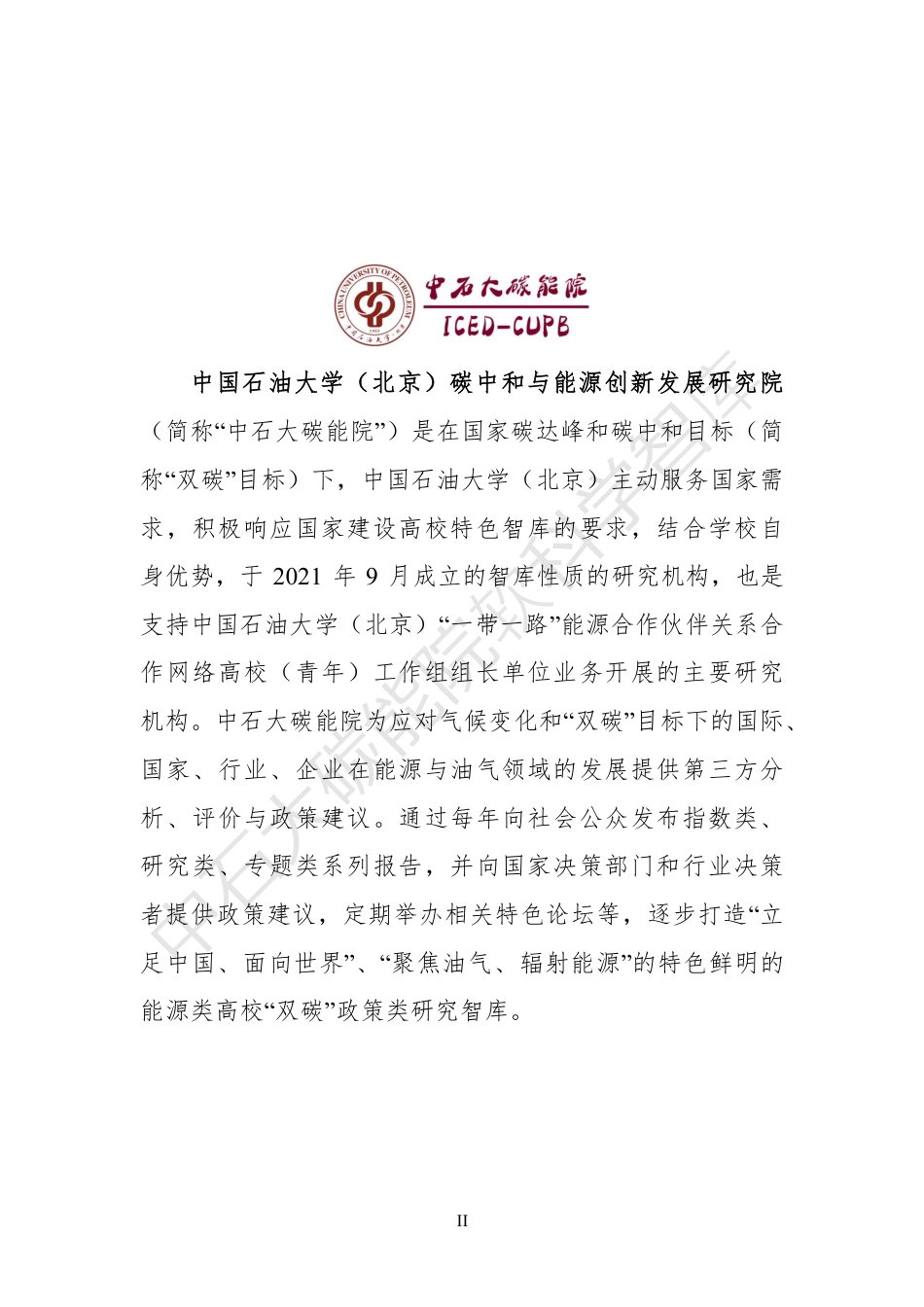 中国石油大学：“一带一路”资源国能源系统可持续发展指数及评价_第3页