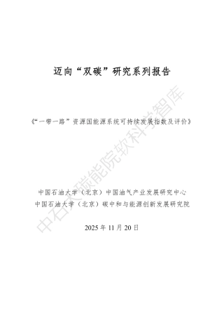 中国石油大学：“一带一路”资源国能源系统可持续发展指数及评价