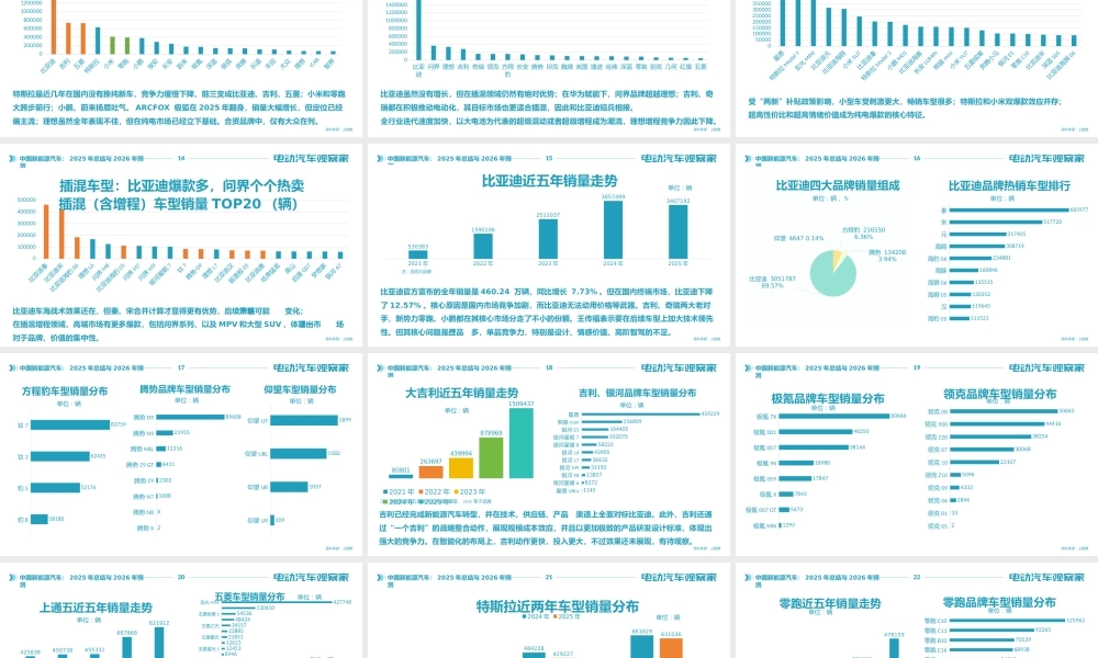 中国新能源汽车:2025年总结与2026年趋势
