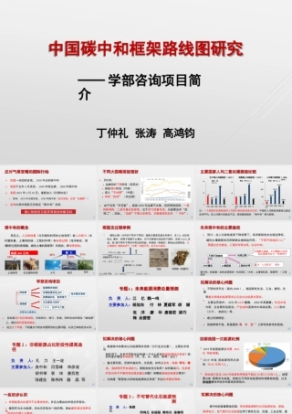 丁仲礼：中国碳中和路线框架