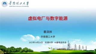 华南理工大学 蔡泽祥42页PPT：虚拟电厂与数字能源