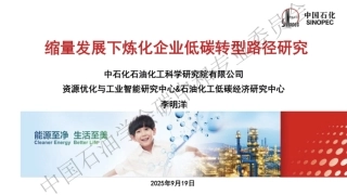 缩量发展下炼化企业低碳转型路径研究