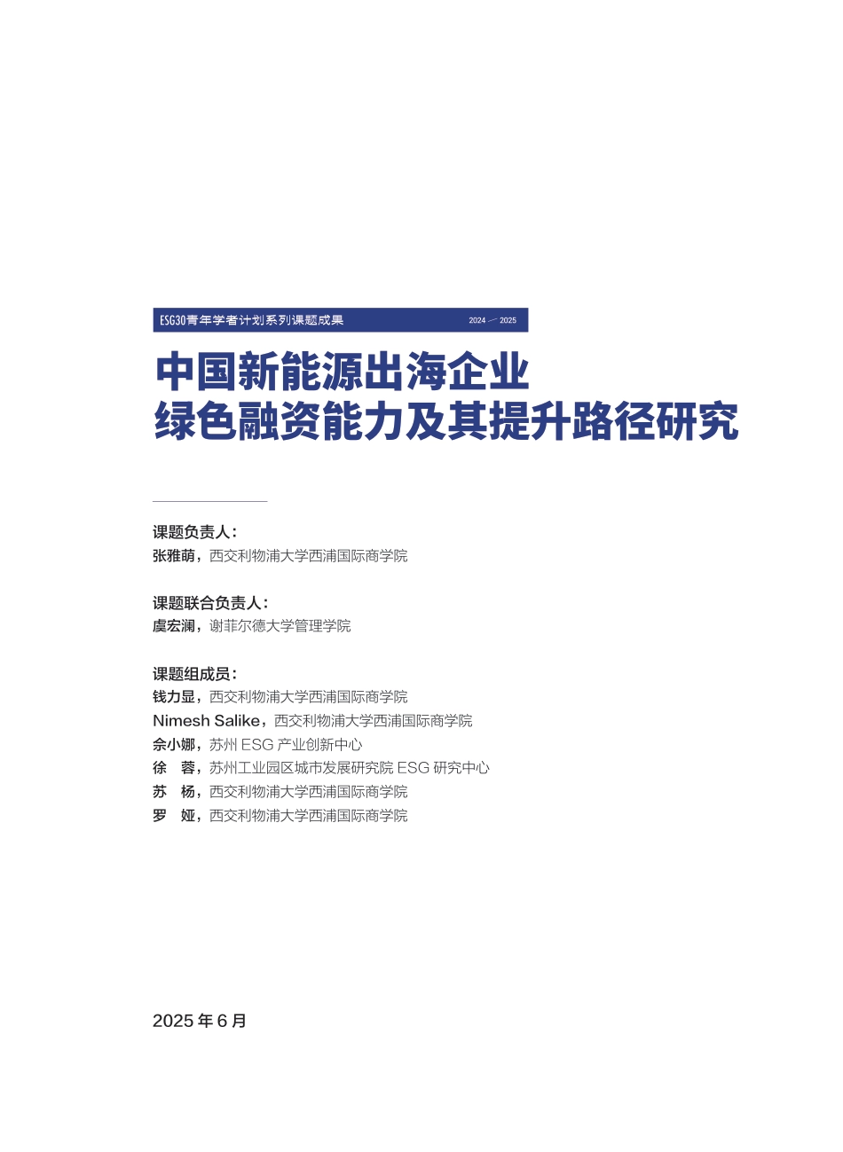 财新智库：中国新能源出海企业绿色融资能力及其提升路径_第3页
