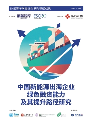 财新智库：中国新能源出海企业绿色融资能力及其提升路径