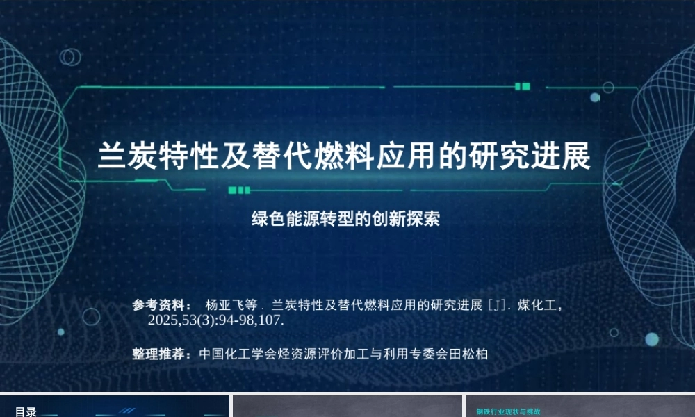 中国化工学会PPT：兰炭特性及替代燃料应用的研究进展