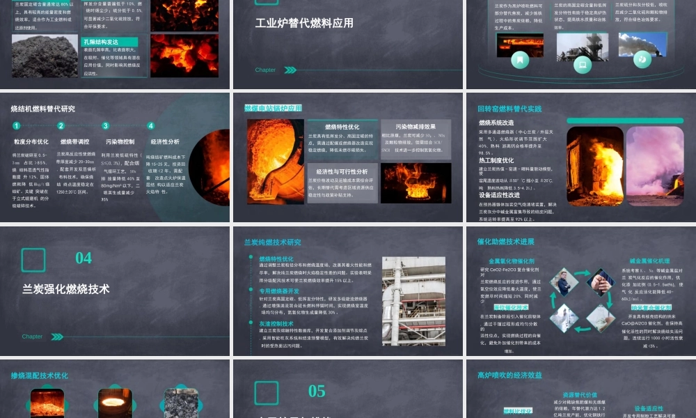 中国化工学会PPT：兰炭特性及替代燃料应用的研究进展