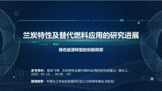 中国化工学会PPT：兰炭特性及替代燃料应用的研究进展