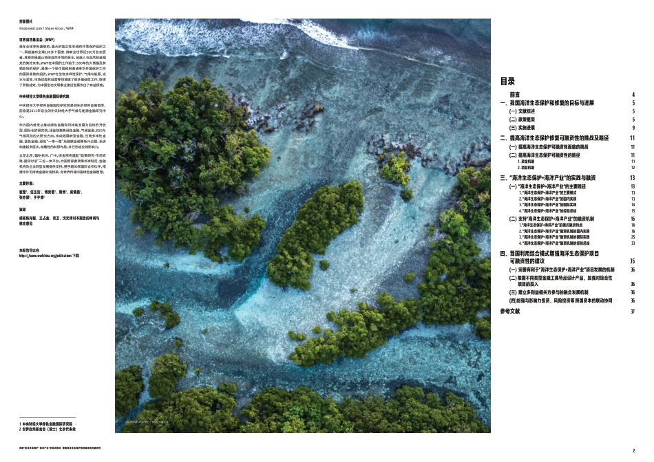 世界自然基金会WWF:海洋生态保护与产业协同发展的可融资模式探索_第2页