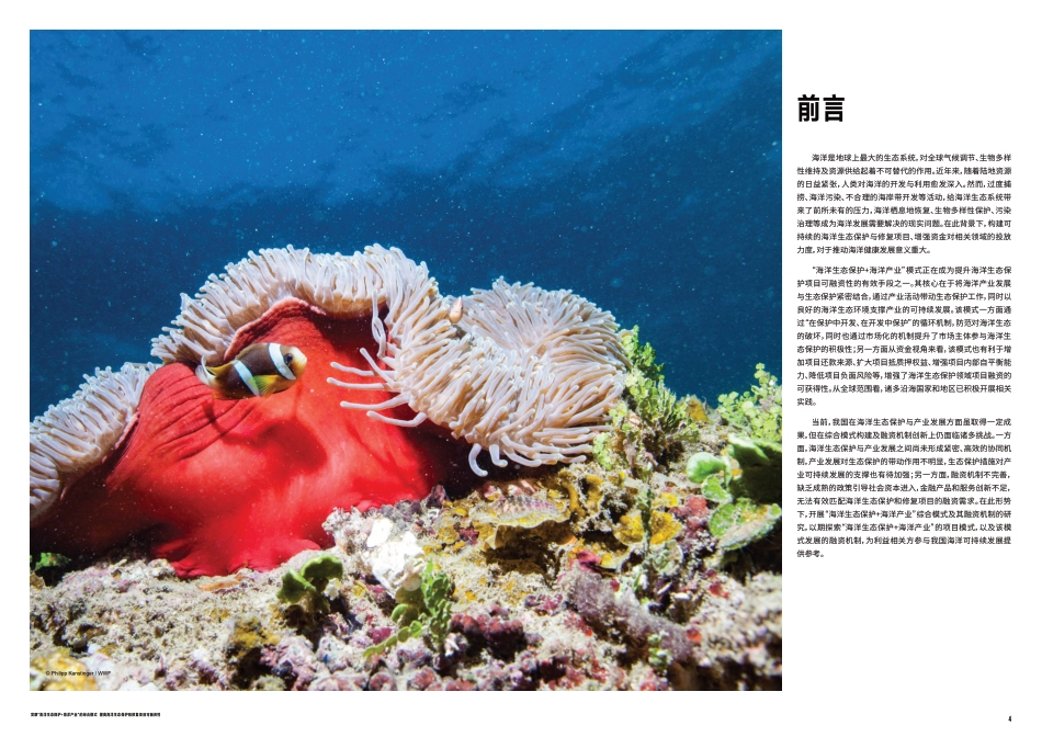 世界自然基金会WWF:海洋生态保护与产业协同发展的可融资模式探索_第3页