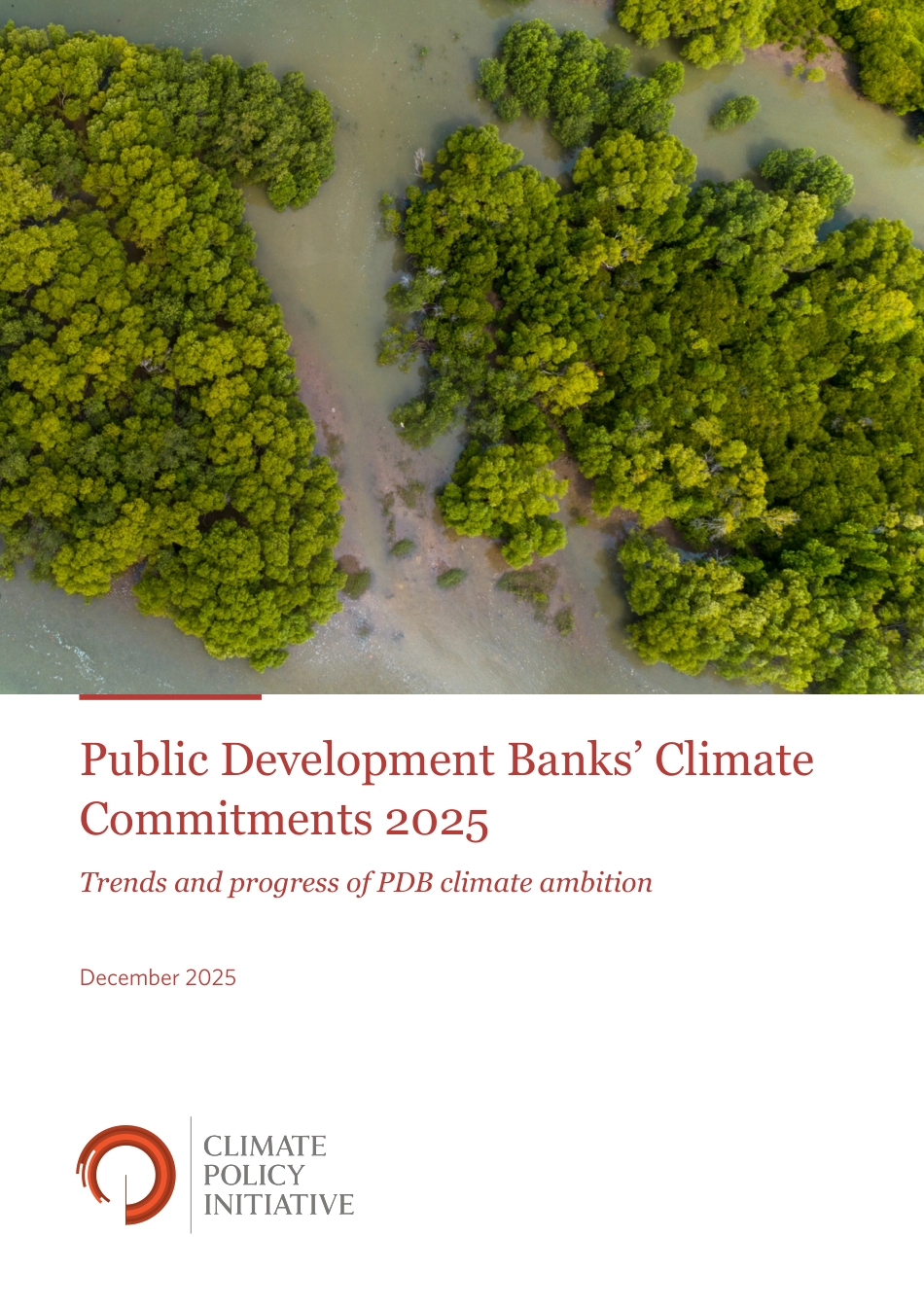 【英文】气候政策倡议组织：公共开发银行的气候承诺2025_第1页
