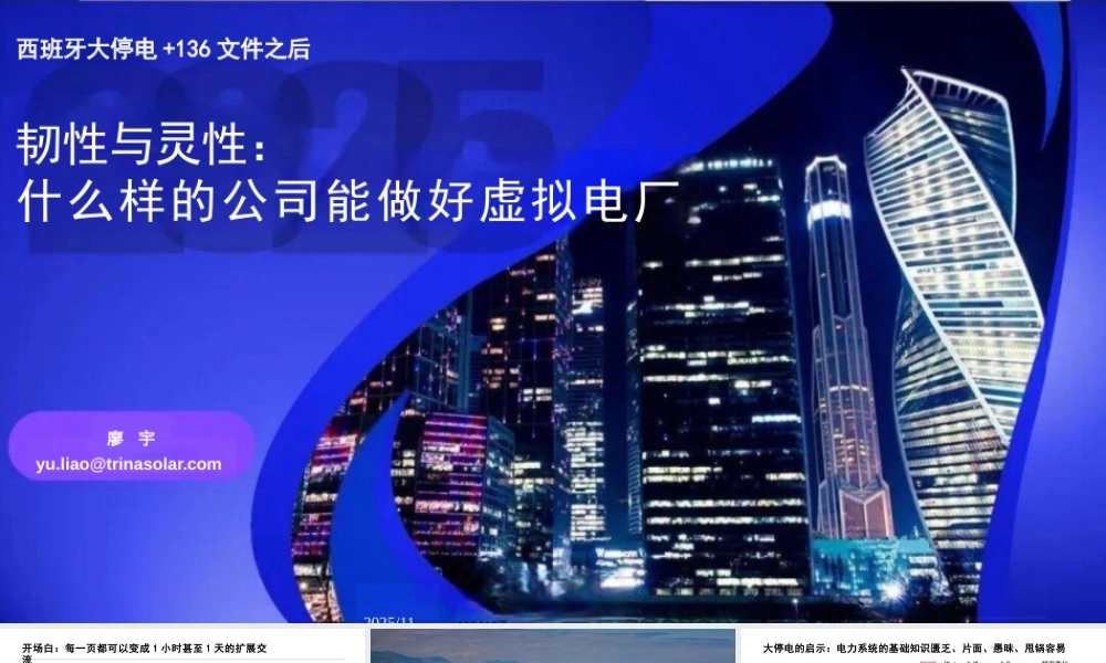 天合光能PPT:韧性与灵性:什么样的公司能做好虚拟电厂