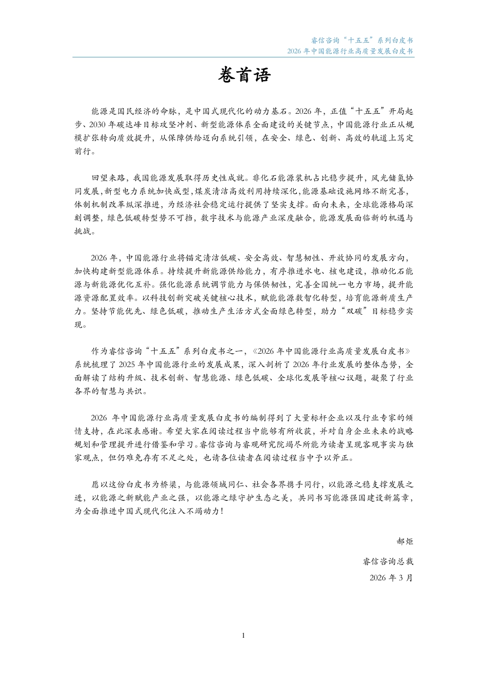 睿信咨询：2026年中国能源行业高质量发展白皮书_第2页