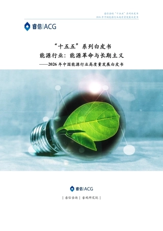 睿信咨询：2026年中国能源行业高质量发展白皮书
