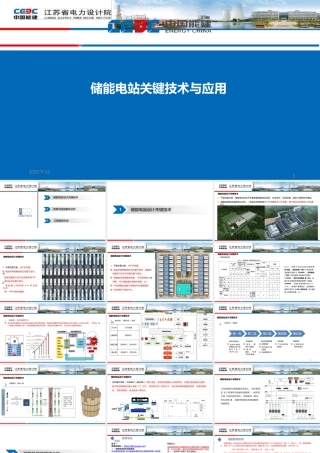 储能电站关键技术与应用