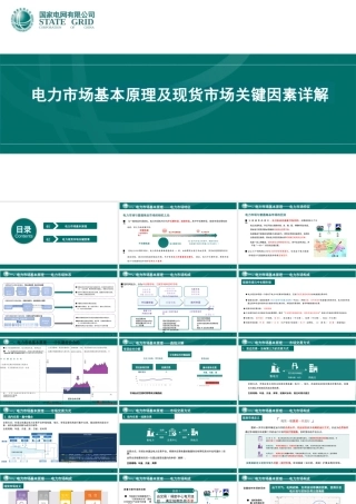 国家电网PPT：电力市场基本原理及现货市场关键因素详解