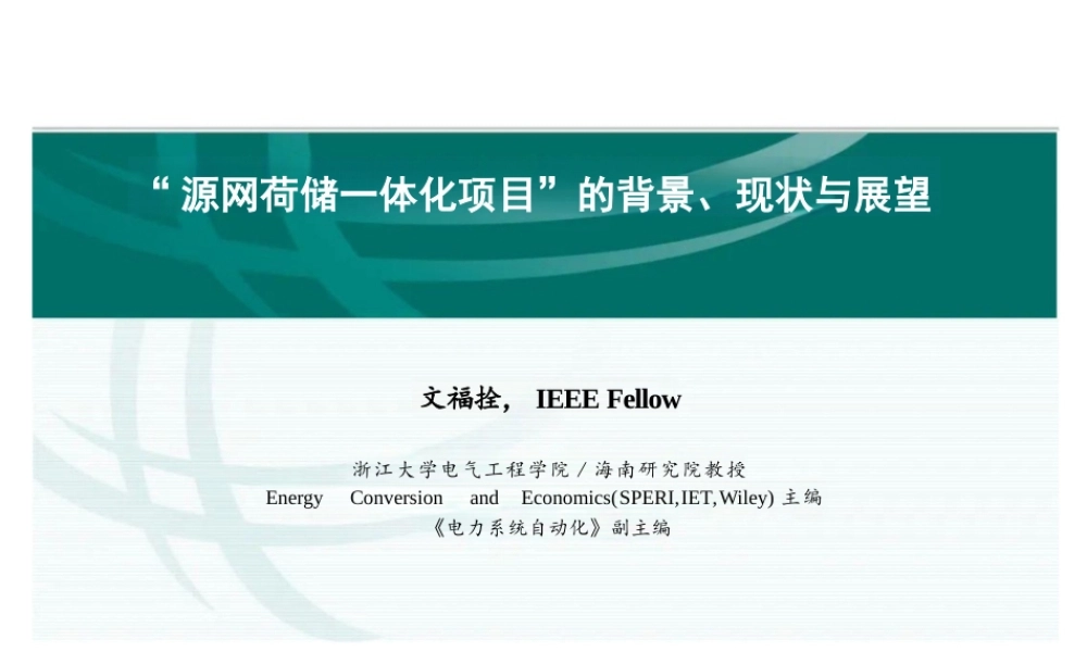 浙江大学PPT:源网荷储一体化项目的背景、现状与展望