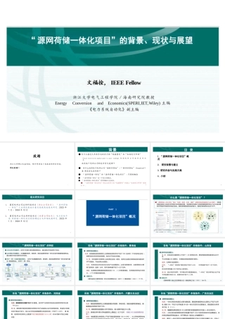 浙江大学PPT：源网荷储一体化项目的背景、现状与展望