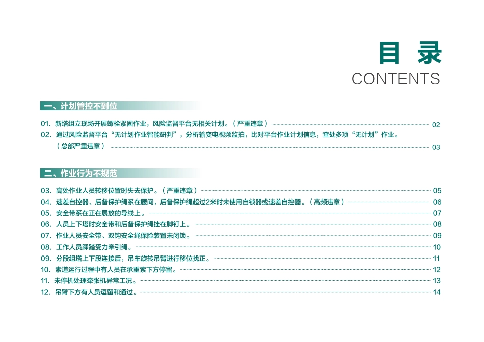 2026典型违章图册（输电部分） (1)_第2页