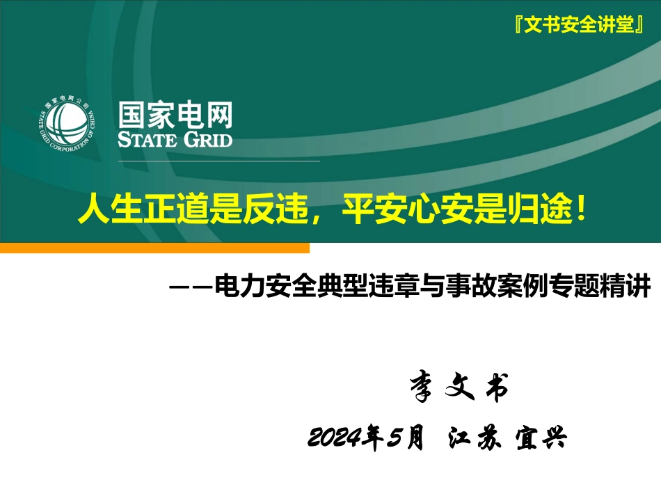 电力安全典型违章与事故案例精讲(125页)_第1页