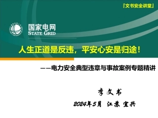 电力安全典型违章与事故案例精讲(125页)