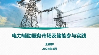 电力辅助服务市场及储能参与实践