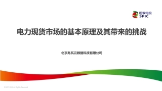 电力现货市场的基本原理及其带来的挑战 (1)