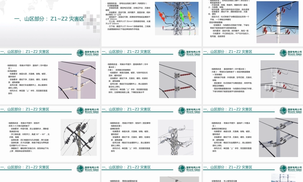 配网防雷建设与改造标准化施工工艺指导手册