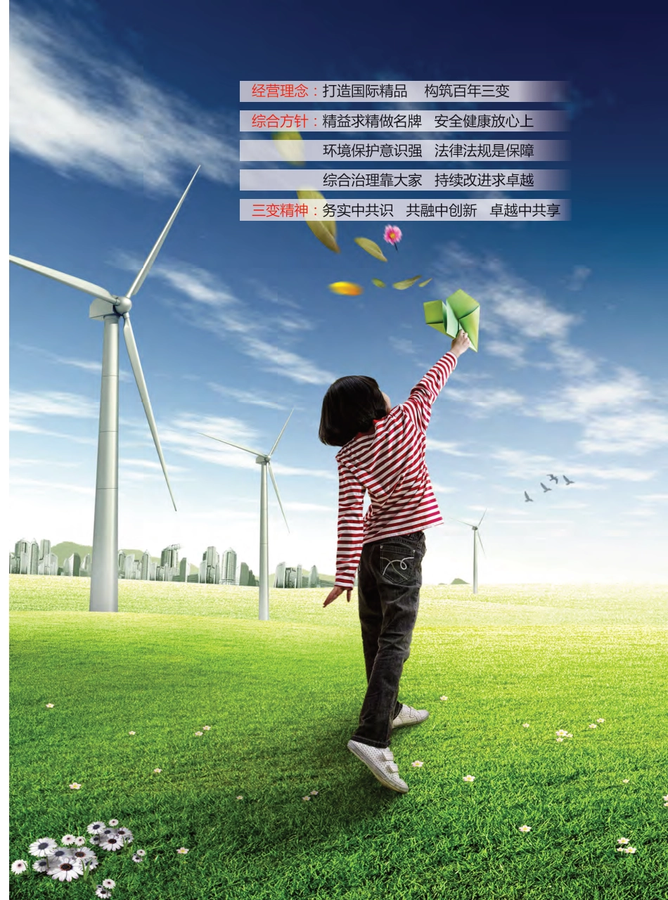 箱式变电站及新能源产品手册_第2页