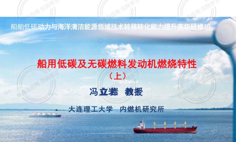 船用低碳及无碳燃料发动机燃烧特性（上）