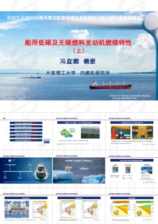 船用低碳及无碳燃料发动机燃烧特性（上）