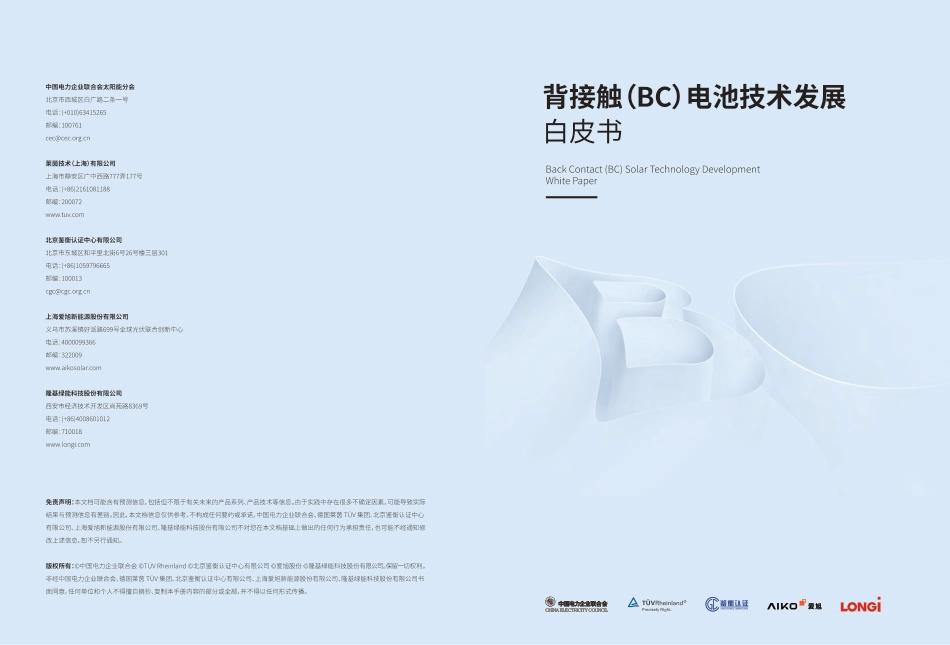 BC电池技术发展白皮书2025_第1页