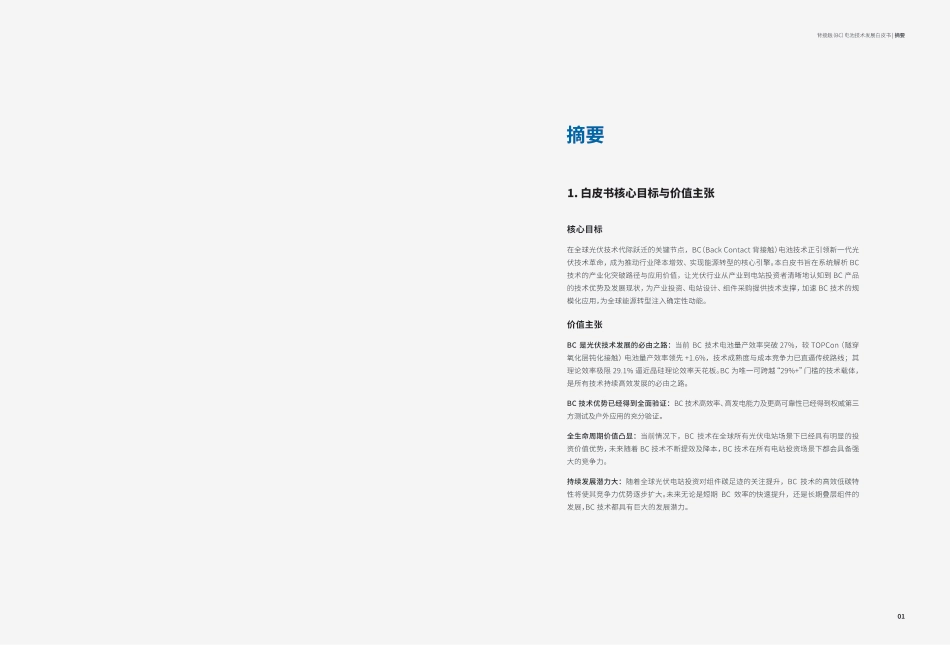 BC电池技术发展白皮书2025_第2页