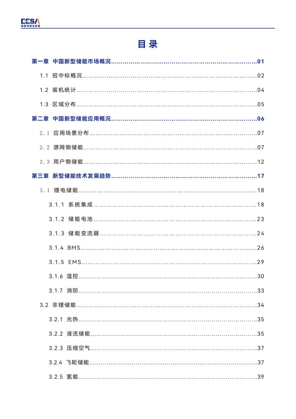 2025中国新型储能行业发展白皮书 机遇与挑战_第3页