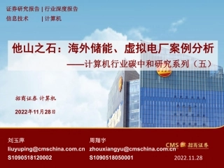 海外储能、虚拟电厂案例分析报告