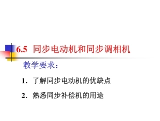 同步电动机和同步调相机
