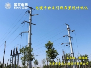 电缆平台及引线布置设计优化