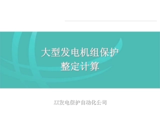 国家电网 大型发电机组保护整定计算