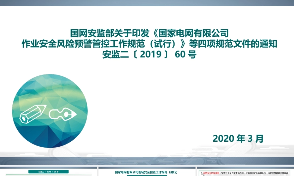 _安监二〔2019〕60号 国家电网有限公司现场安全督查工作规范（试行） 