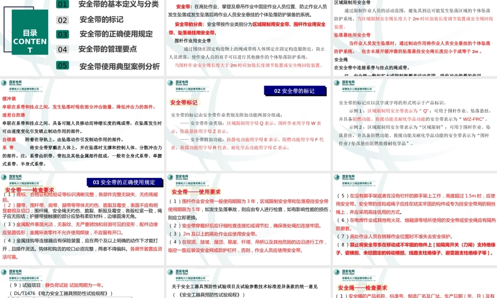 2025安全带基础知识交流培训