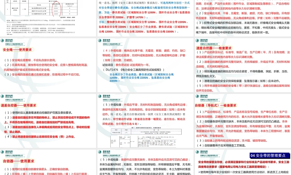 2025安全带基础知识交流培训
