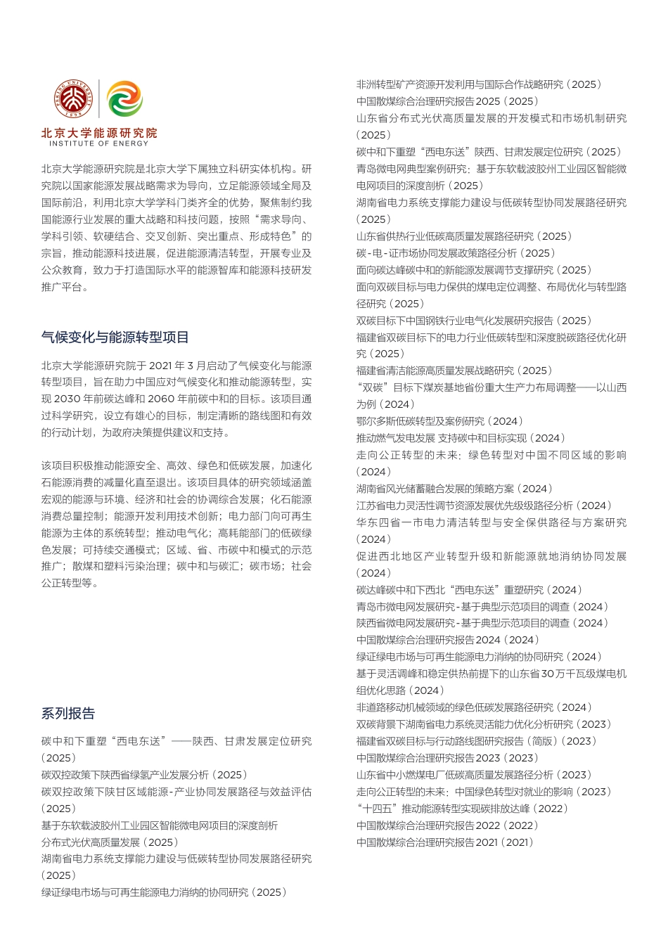 北大能研院：非洲撒哈拉沙漠以南可再生电力可及性与国际合作发展报告_第2页