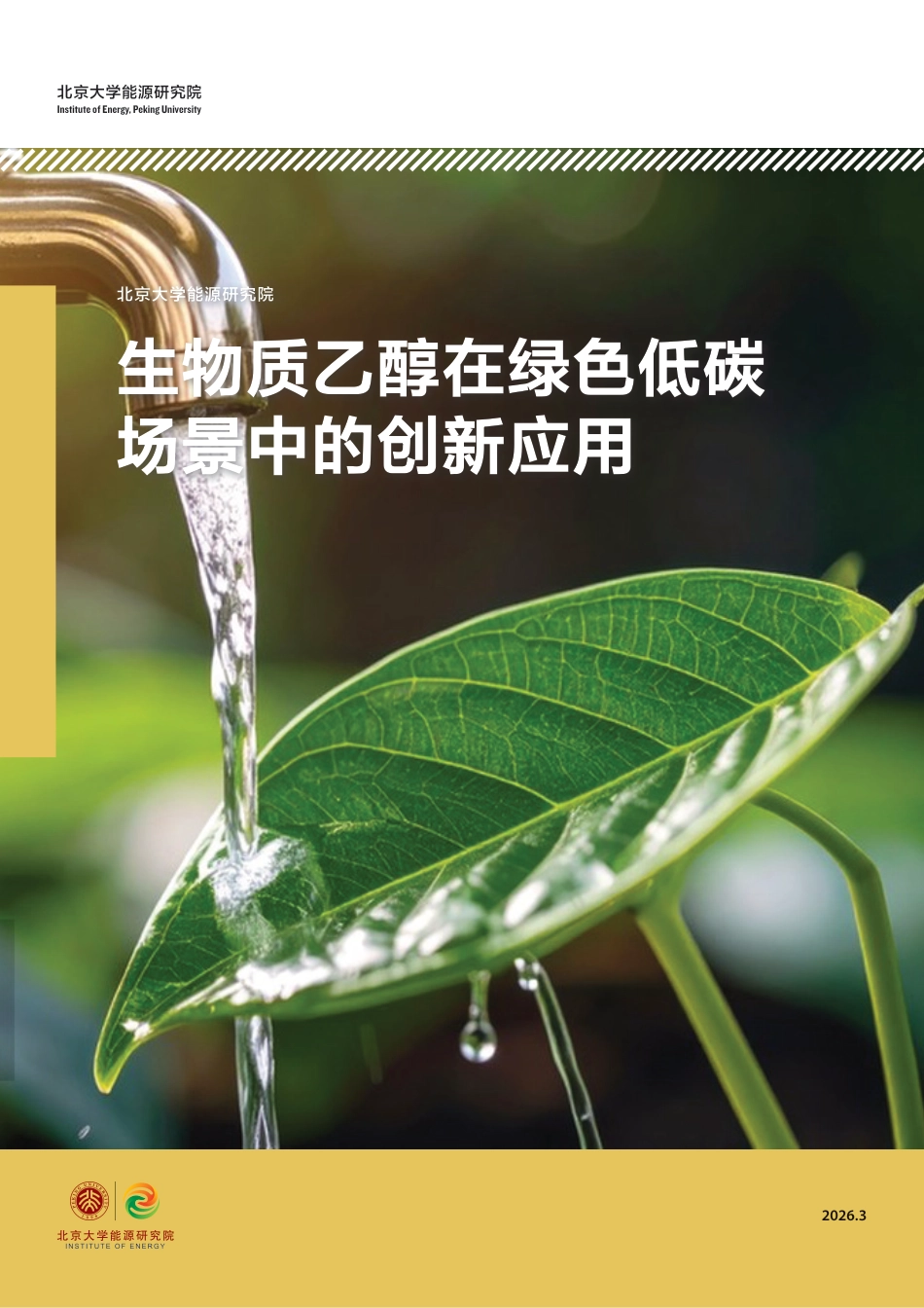 北大能研院：生物质乙醇在绿色低碳场景中的创新应用_第1页