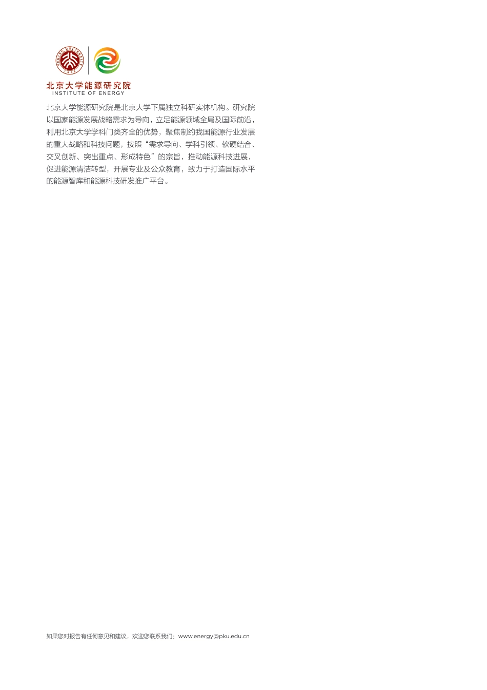 北京大学能源研究院：从供给焦虑到需求韧性——大变局下的中国能源安全与战略重构_第2页