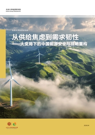 北京大学能源研究院：从供给焦虑到需求韧性——大变局下的中国能源安全与战略重构