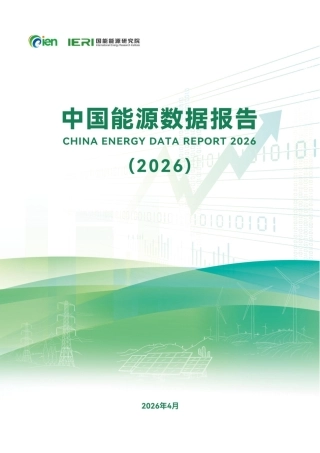 国能能源研究院：中国能源数据报告（2026）